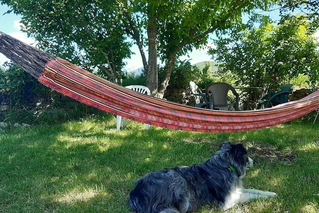 Gite Les Granges Dans Ferme Provencale. 14 Pers Ongles Holiday home