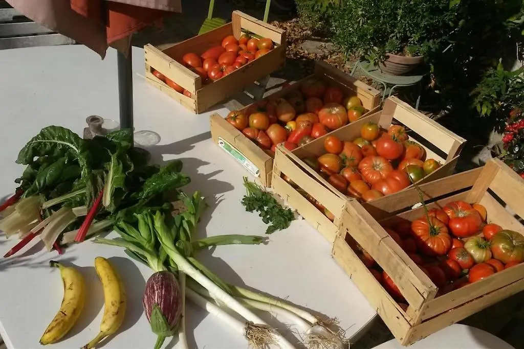 Gite Les Granges Dans Ferme Provencale. 14 Pers Ongles 0*,  France