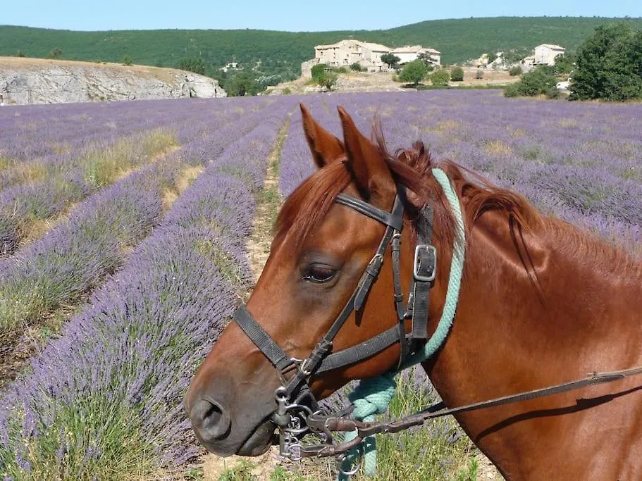 Дом отдыха Gite Les Granges Dans Ferme Provencale. 14 Pers Ongles