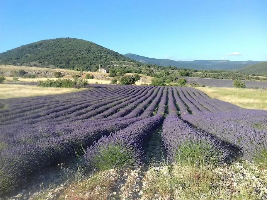 Holiday home Gite Les Granges Dans Ferme Provencale. 14 Pers Ongles