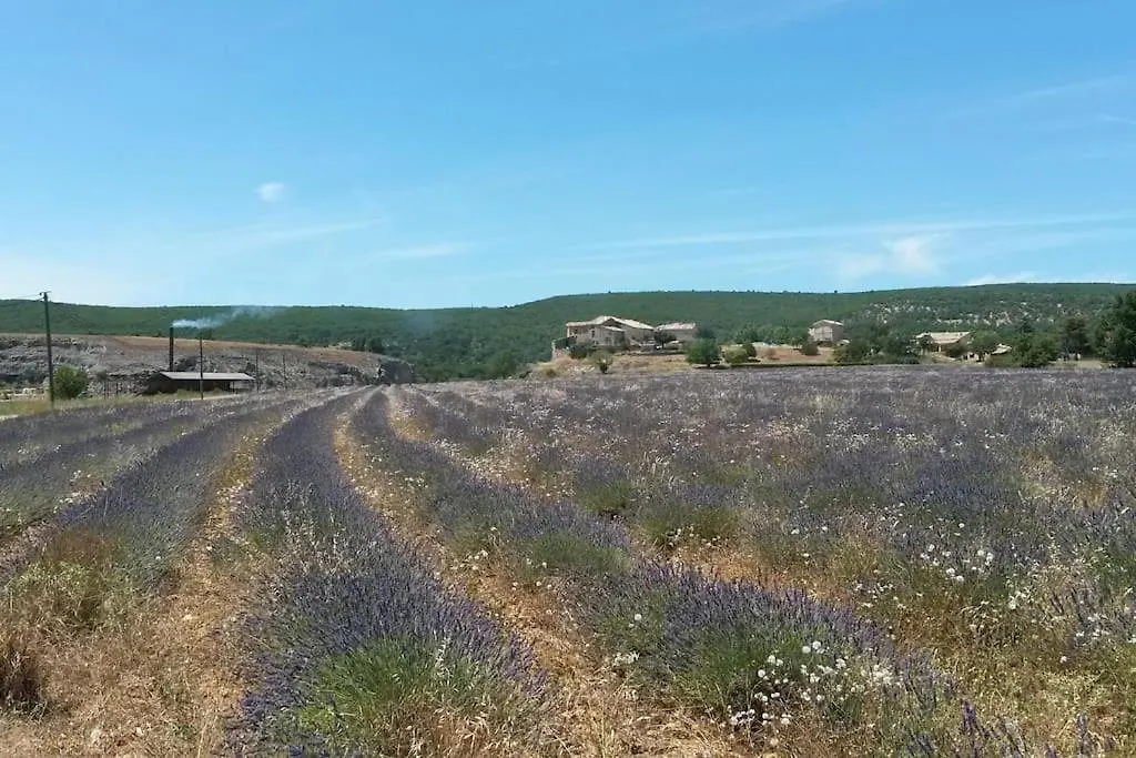 Gite Les Granges Dans Ferme Provencale. 14 Pers Ongles