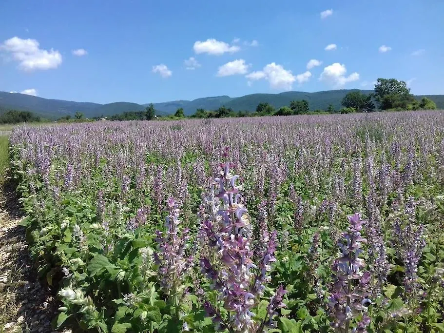 Gite Les Granges Dans Ferme Provencale. 14 Pers Ongles Holiday home