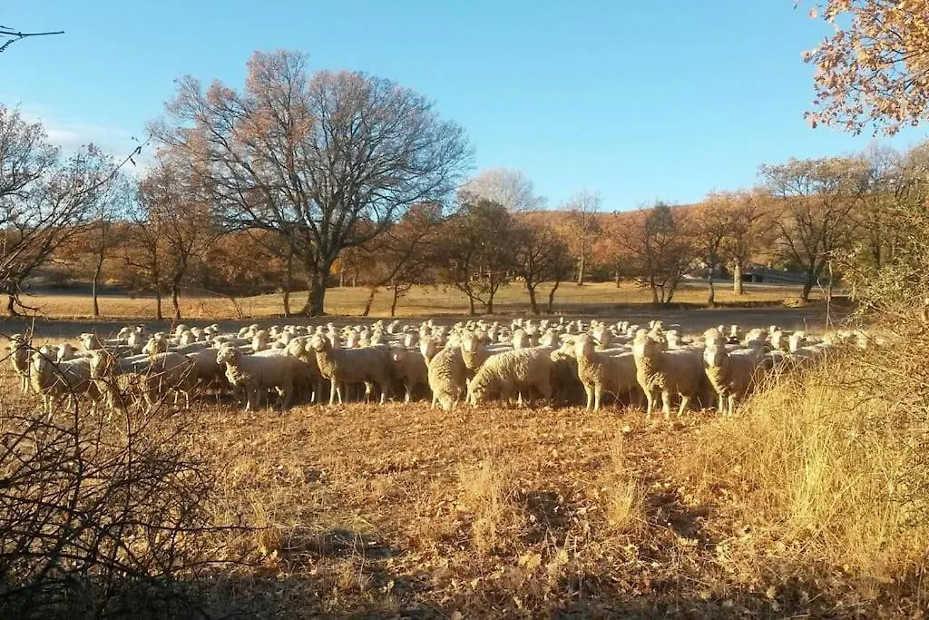 Holiday home Gite Les Granges Dans Ferme Provencale. 14 Pers Ongles