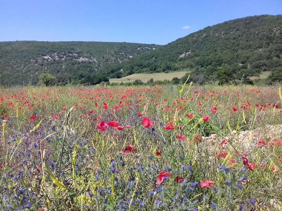 Gite Les Granges Dans Ferme Provencale. 14 Pers Ongles Holiday home